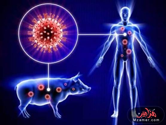 علاج إنفلونزا الخنازير