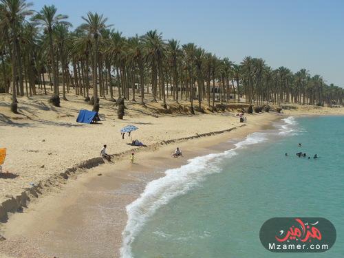 رحلات العريش