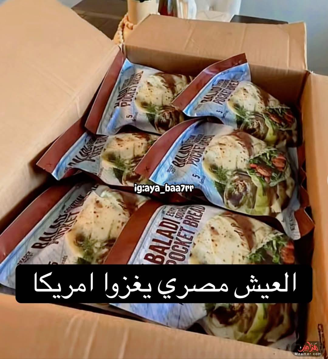العيش المصري يغزوا أمريكا