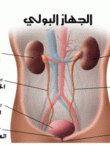 أسباب حرقان البول